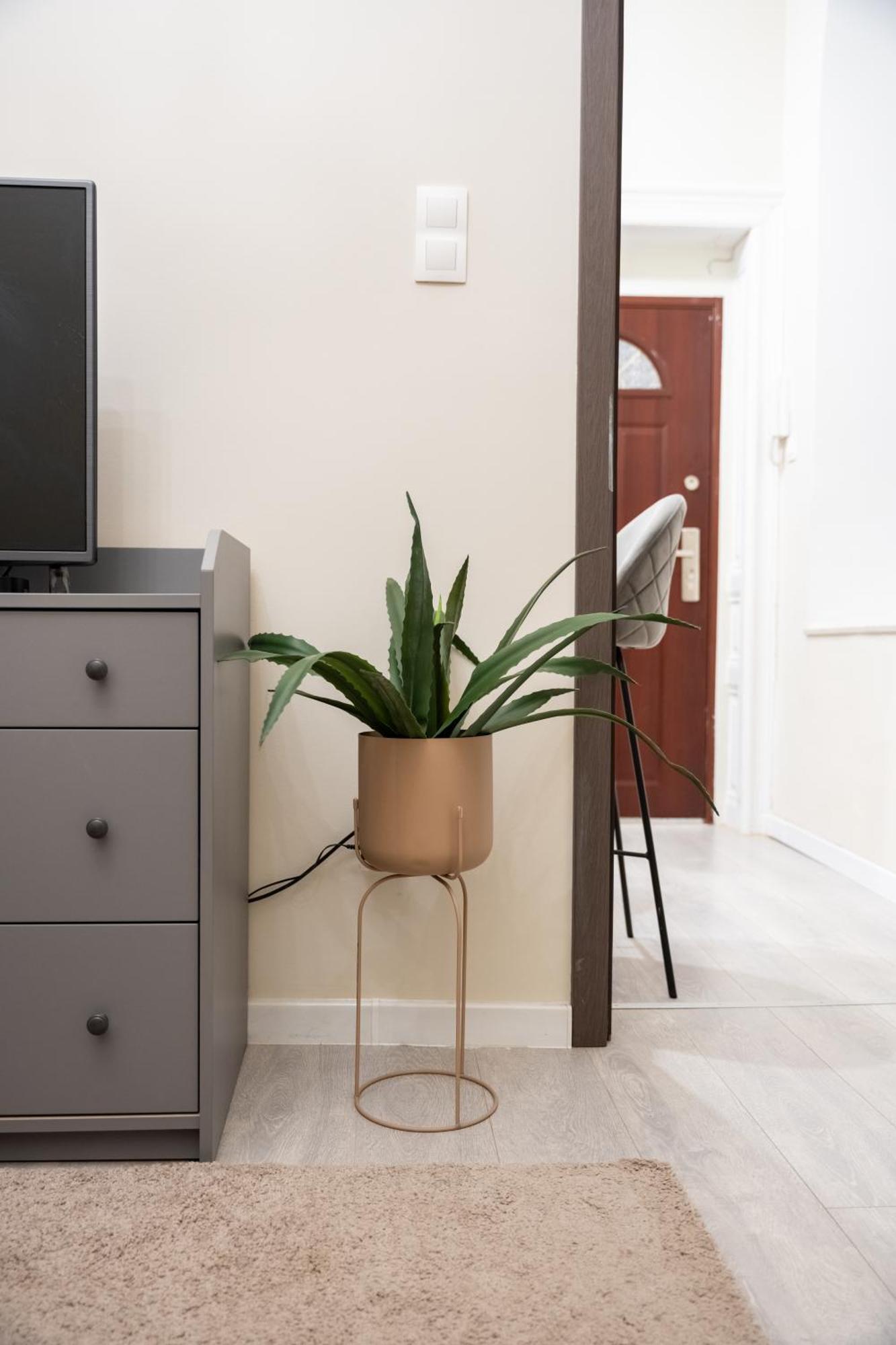 Nova Apartmán *